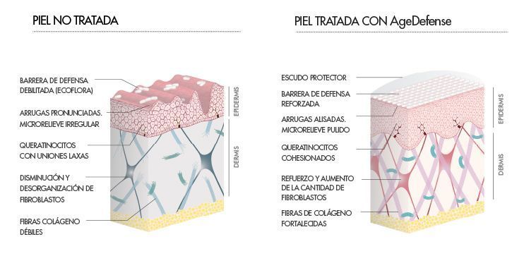 tratamiento-antiedad