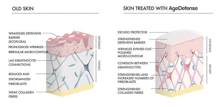 antiaging-results