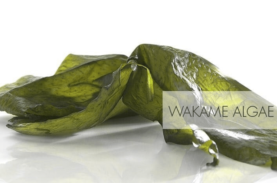 WAKAME SEAWEED: Learn about its benefits and properties - Casmara